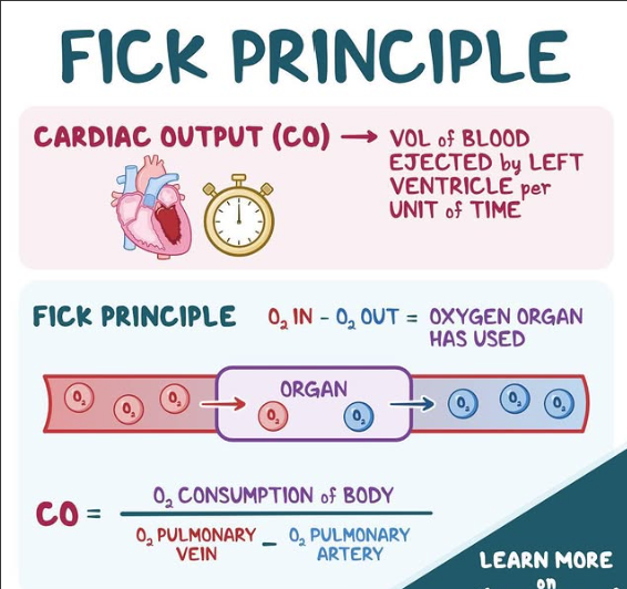 <p>Fick principle states that An organ absorbs or releases a substance depending on <strong>how much the </strong><span><strong><s><u>s</u><mark data-color="red" style="background-color: red; color: inherit"><u>ubstance changes in the blood as it passes through</u></mark></s></strong></span><s><mark data-color="red" style="background-color: red; color: inherit"> </mark></s>and <strong>how much blood is flowing through the organ</strong></p>