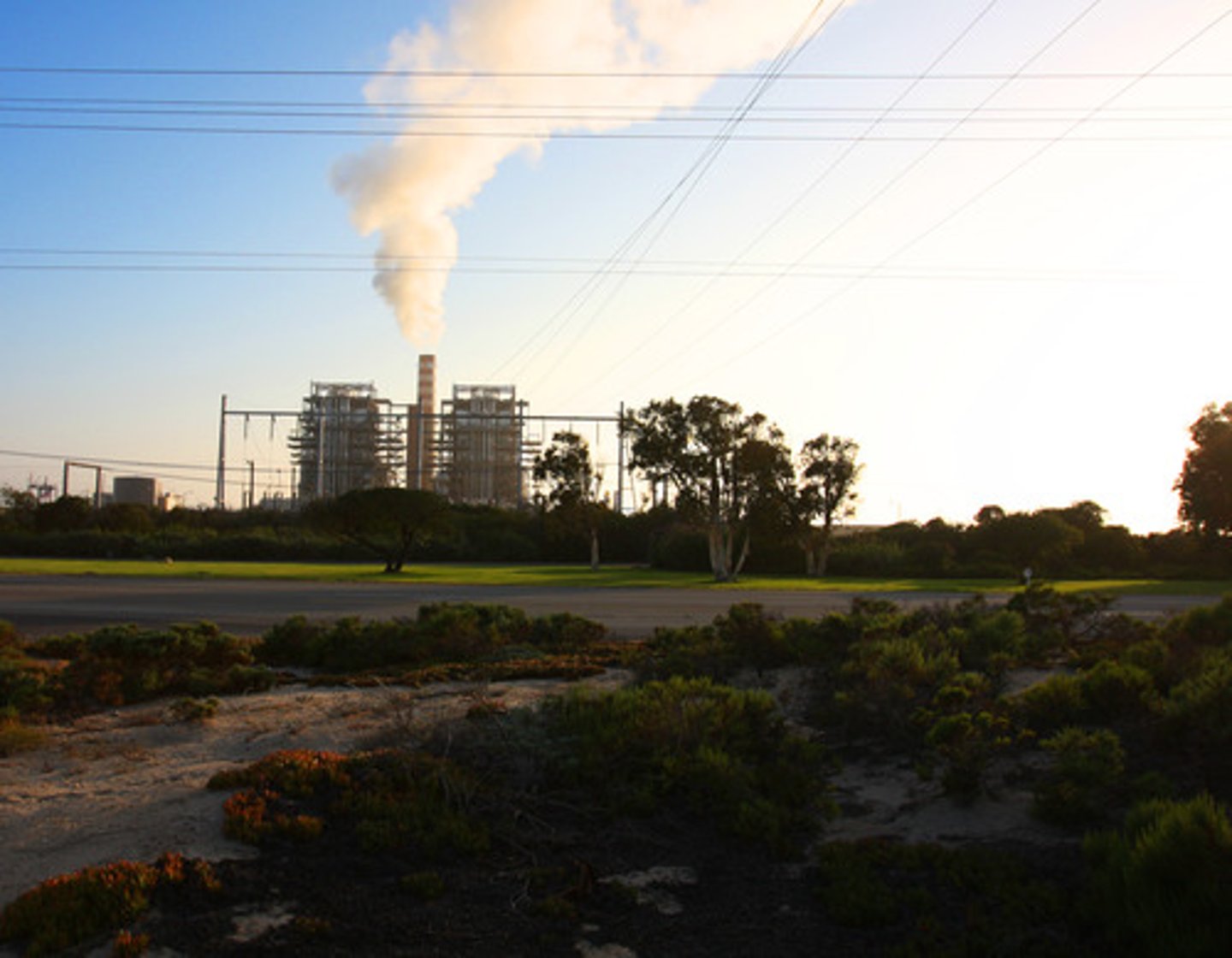 <p>Produced mainly by power plants especially that burn coal. Not only can they harm respiratory health but can create acid rain.</p>