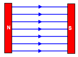 <p>what diagram is this </p>