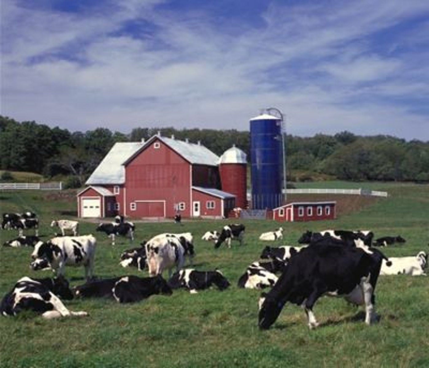 <p>farm that grows crops and raises animals together using crops to feed animals and animals to fertilize crops.</p>