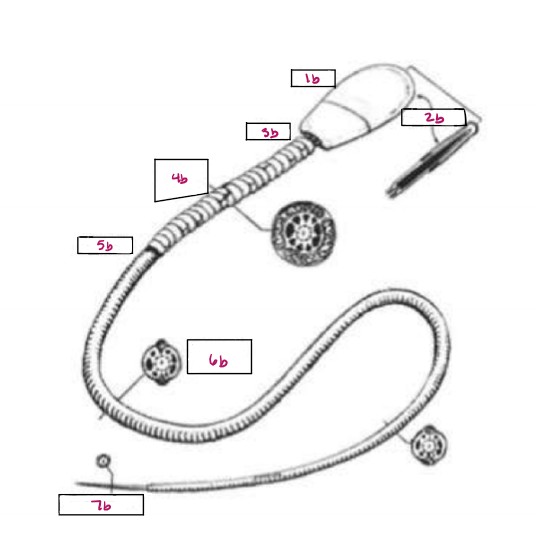 <p>Name 4b</p>