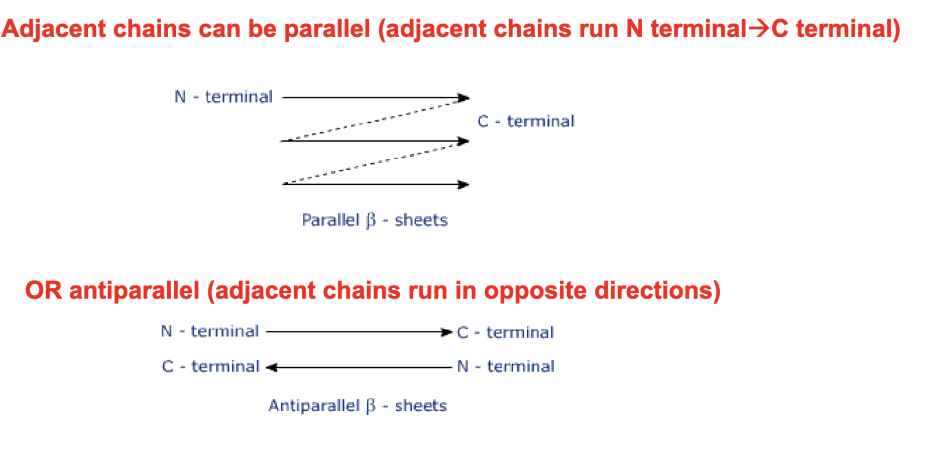 <p><strong>Parallel </strong>- Run N-terminal to C-terminal and must loop around </p><p><strong>Anti-Parallel </strong>- Run N to C and in opposite directions (zig-zag terminals)</p>