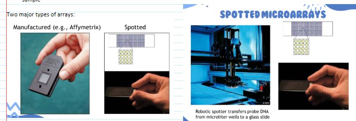 <ul><li><p><span>A technology that can simultaneously detect thousands of specific DNA sequences in a short TAT</span></p></li><li><p><span>two types: manufactured &amp; spotted </span></p></li><li><p><span><u>Applications</u>:</span></p><ul><li><p><span>Oncology: analyze gene expression in cancer cells</span></p></li><li><p><span>Infectious disease: detect the presence of nucleic acids from disease-causing agents</span></p></li><li><p><span>Mutation analysis: detect single nucleotide changes to large insertions or deletions</span></p></li></ul></li></ul><p></p>