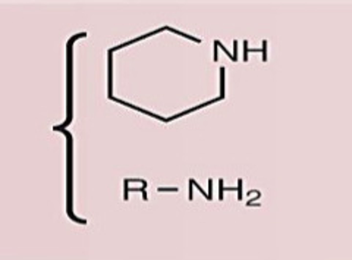 <p>Conj. Base</p>