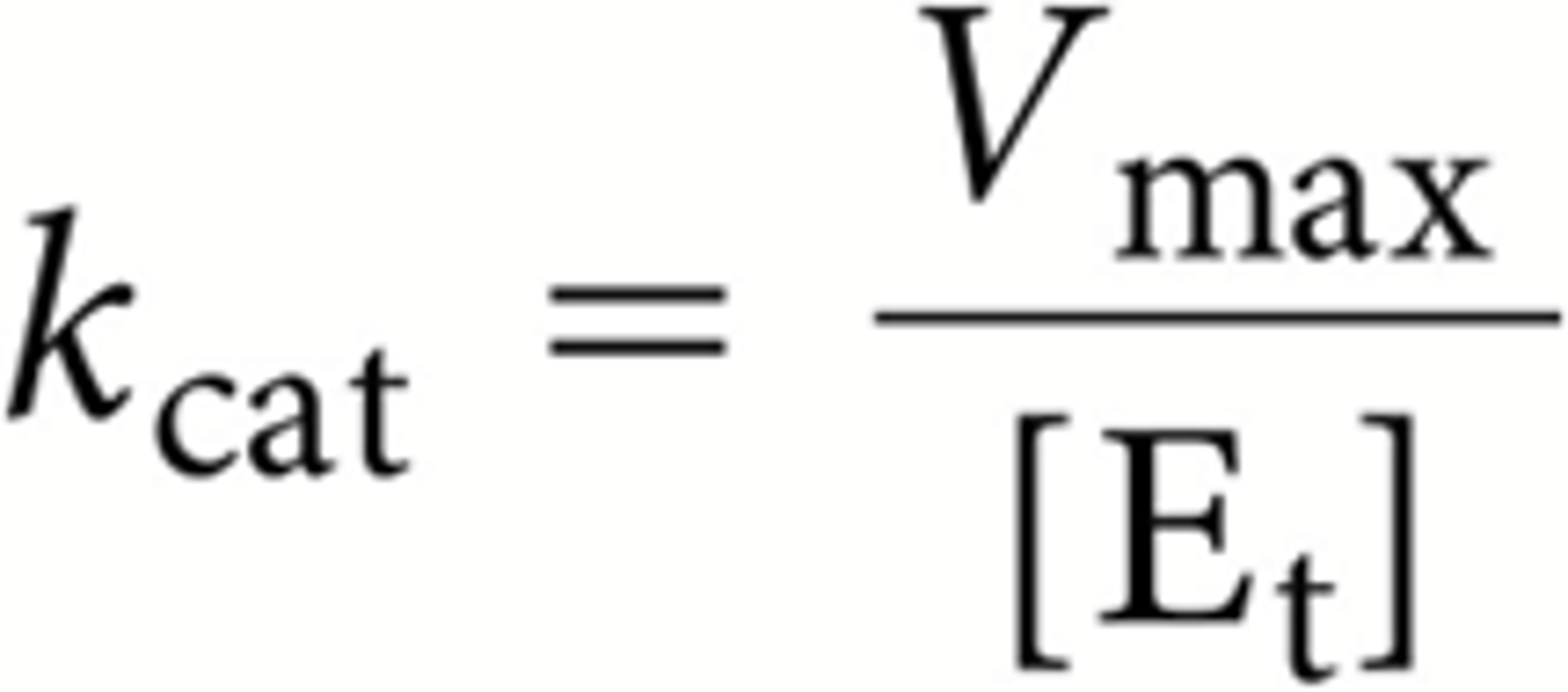 <p>Het aantal molecule dat 1 enzyme kan omzetten per tijdseenheid (Hoe goed een enzyme werkt)</p>