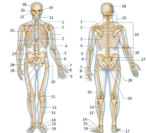 <p>6</p>