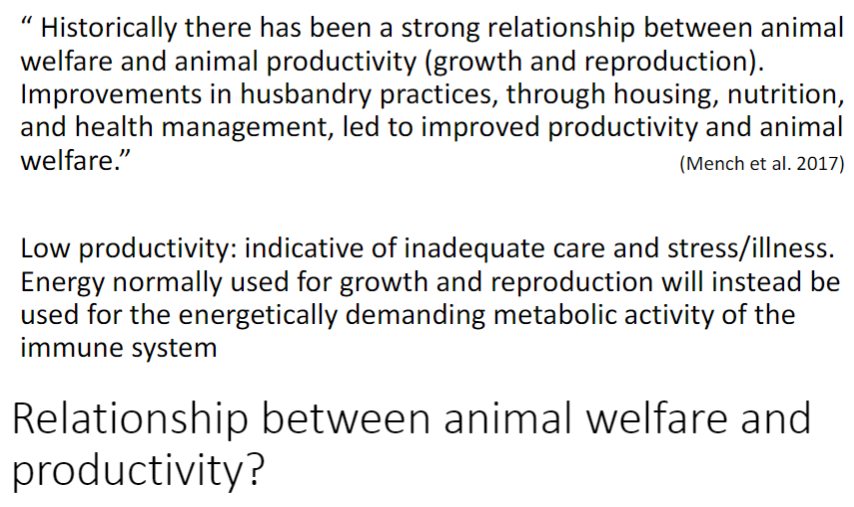 <p><strong>Historical Link</strong><br>āHistorically, there has been a strong connection between <strong>animal welfare</strong> and <strong>productivity</strong> (<strong>growth</strong> and <strong>reproduction</strong>)<br>āImprovements in <strong>housing</strong>, <strong>nutrition</strong>, and <strong>health management</strong> improved both <strong>welfare</strong> and <strong>productivity</strong></p><p><strong>Low Productivity as a Welfare Indicator</strong><br>ā<strong>Low productivity</strong> can indicate <strong>inadequate care</strong>, <strong>stress</strong>, or <strong>illness</strong><br>ā<strong>Energy</strong> that would normally support <strong>growth</strong> and <strong>reproduction</strong> is redirected to support the energetically costly <strong>immune response</strong></p><p><strong>Key Concept</strong><br>āOptimizing <strong>welfare</strong> not only benefits the <strong>animalās quality of life</strong> but also enhances <strong>productivity</strong> through better <strong>health</strong> and reduced <strong>stress</strong></p>