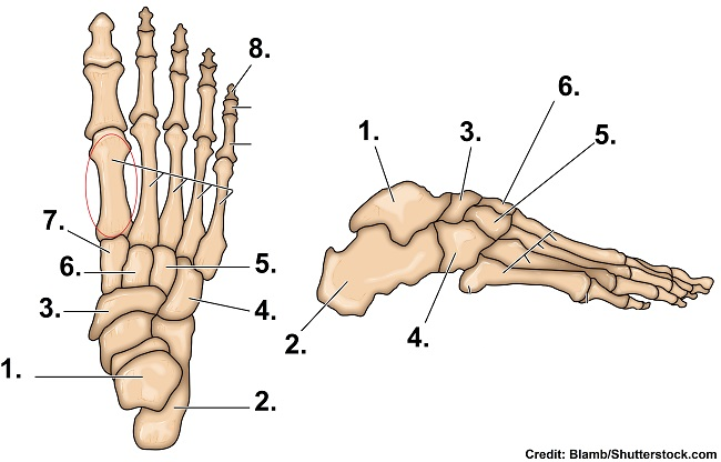 <p>4</p>