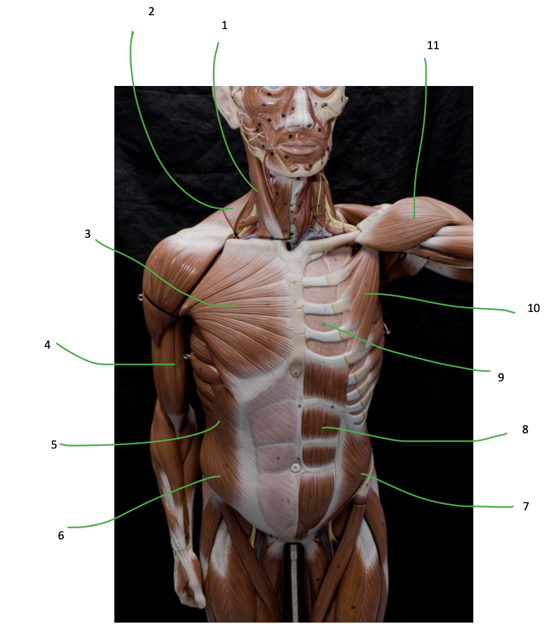 <p>1</p>