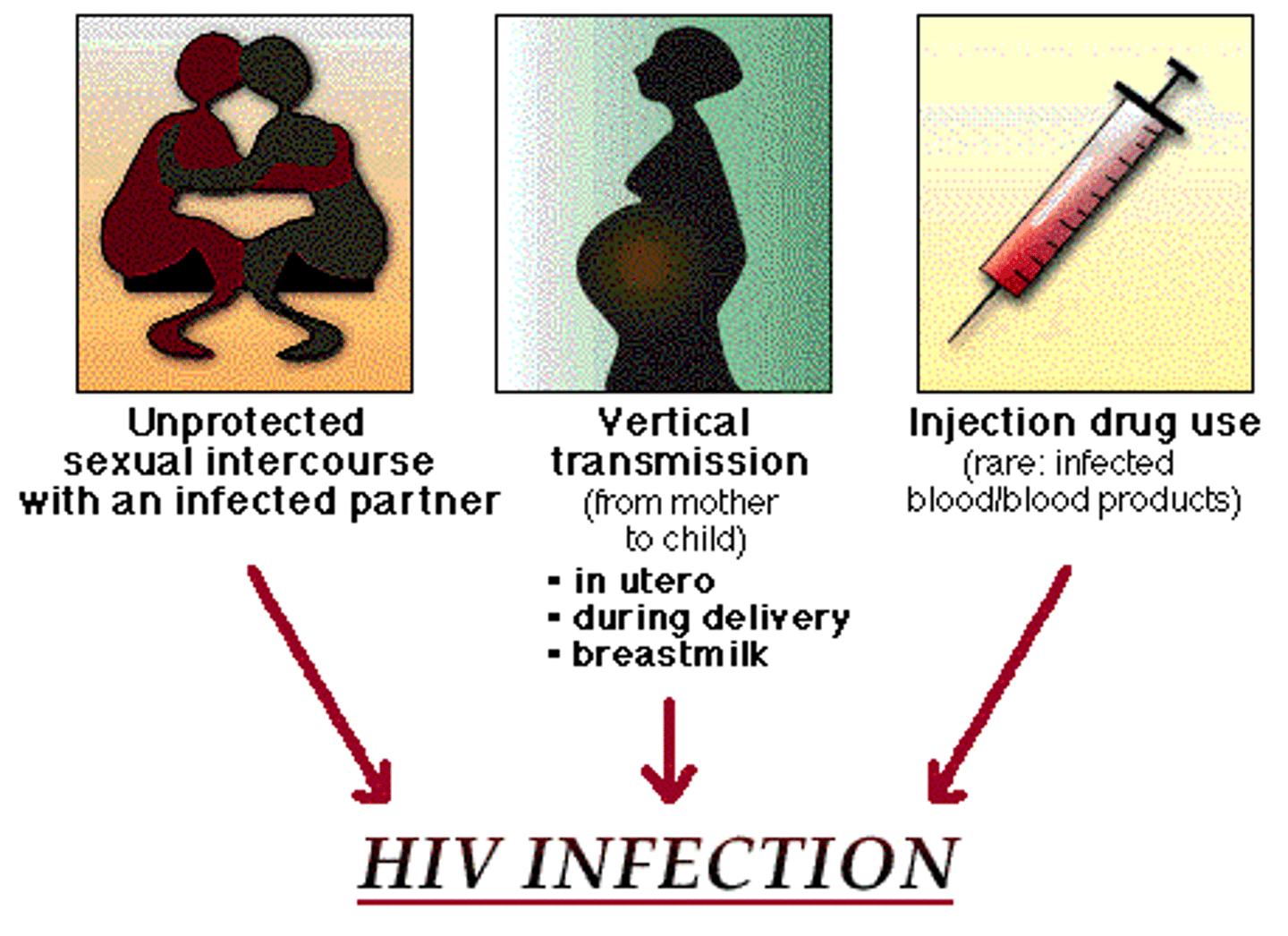 <p>Sexual contact, blood contact, mother-to-baby</p>