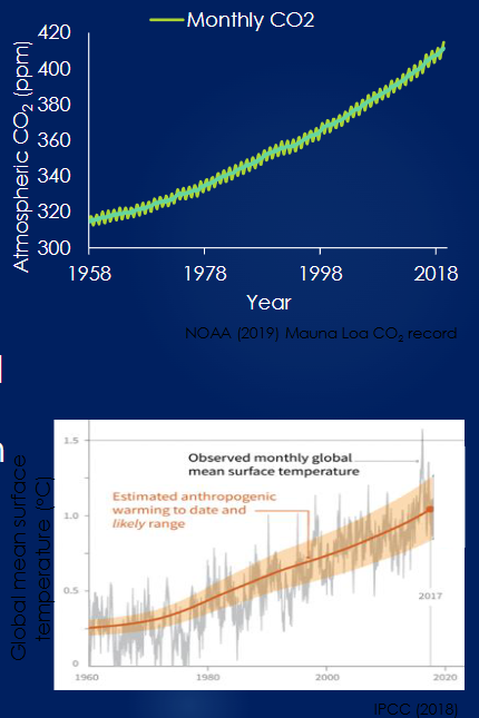<p><span><span>1.Major changes in biogeochemical cycles</span></span></p>