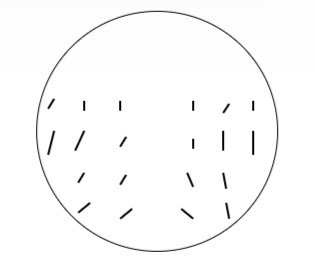 <p>What is this plot called </p>