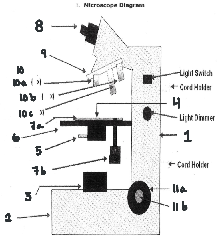 <p>Label the microscope </p>