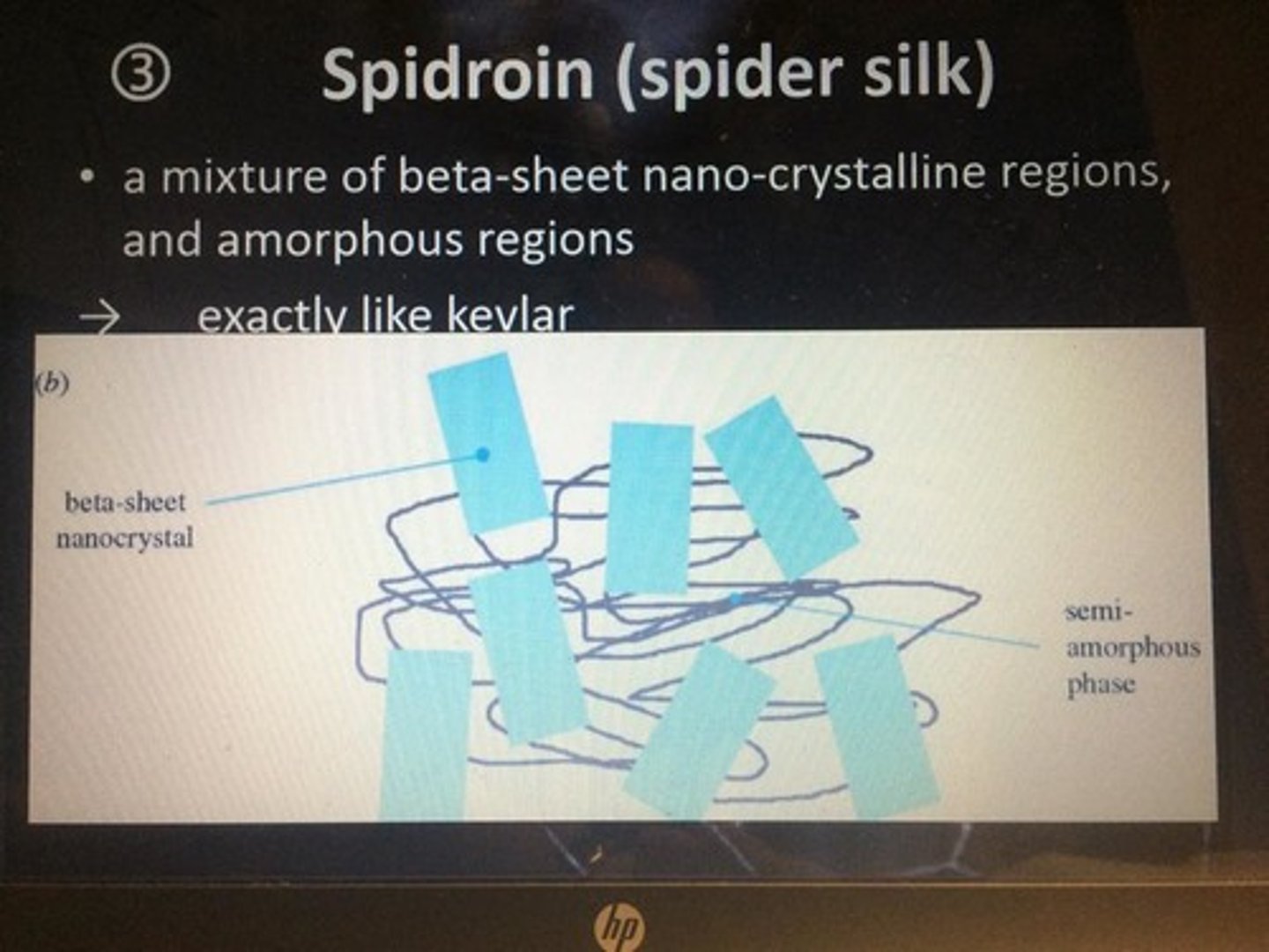 <p>-protein of spider silk</p><p>-helices allow for flexible proteins and breakage resistance</p><p>-has a polished surface for hydrogen bonds w/ H2O</p>