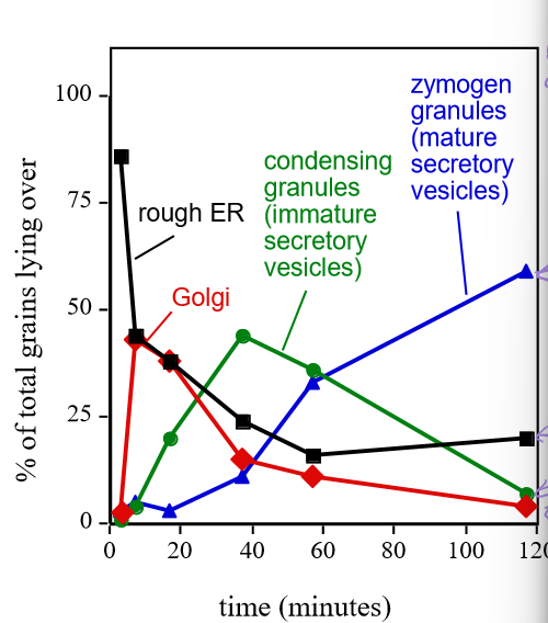 <p>Describe Georgy Porgy’s results</p>
