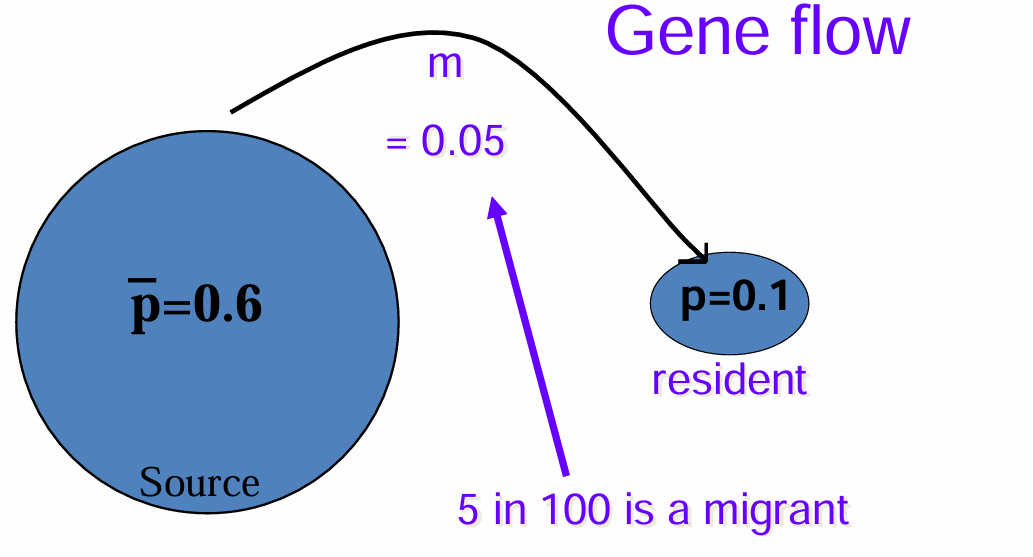 <p>Example</p>