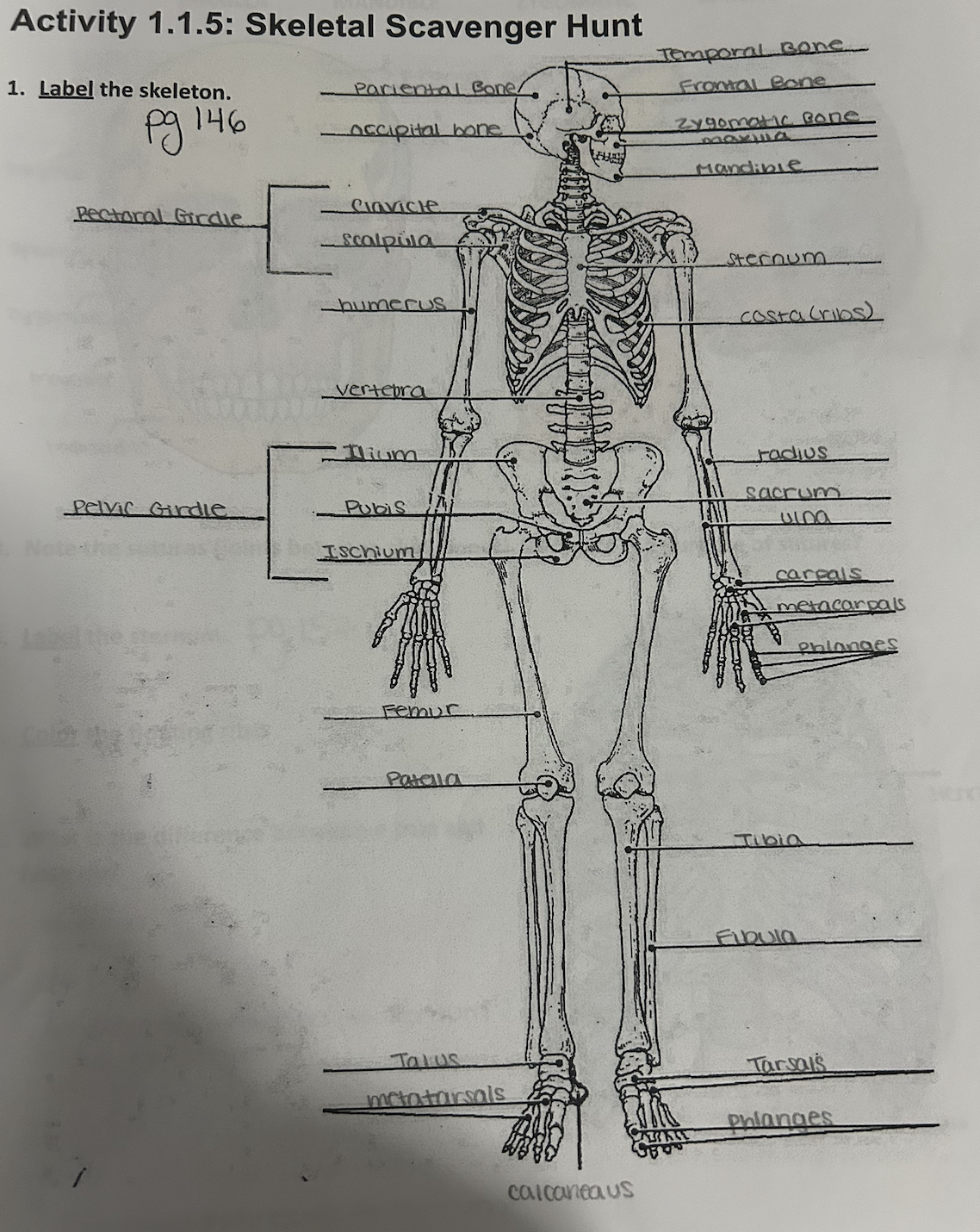 knowt flashcard image