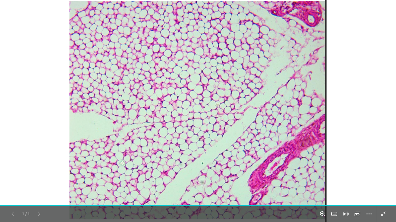 <p>identify </p><p>mention one site </p>