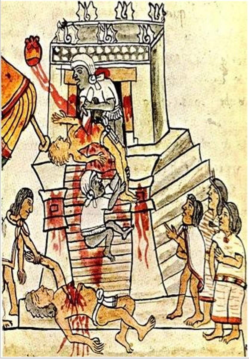 <p>-The Aztecs, Incans, and Mayans all did this to varying degrees [different amounts]</p><p>-In particular, the Aztecs believed that this was necessary to please the gods and keep the crops growing</p><p>-Captured warriors or conquered tribespeople would be killed in a religious ritual in order to please the gods</p><p>-Their blood would be seen as a symbol of giving moisture to the earth for crops; when it wasn't raining, sacrifices would increase with the hope that sacrifice of blood would please the gods who would make it rain</p>