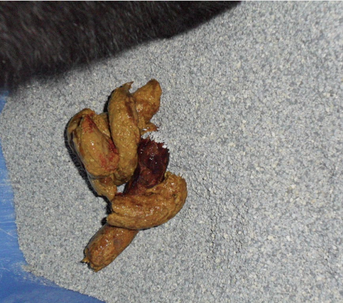 <p>What is this showing?</p>