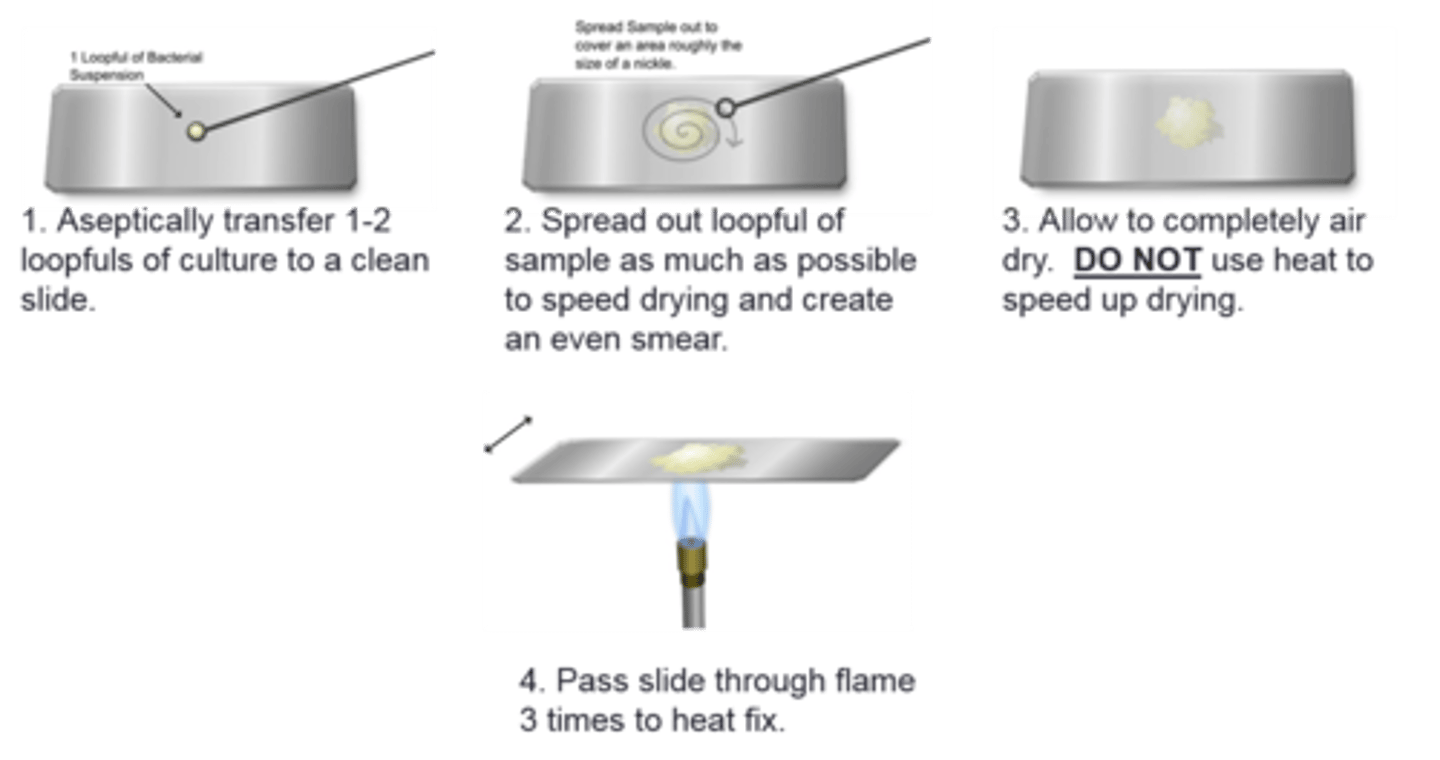 <p>This technique is used in a culture that</p>