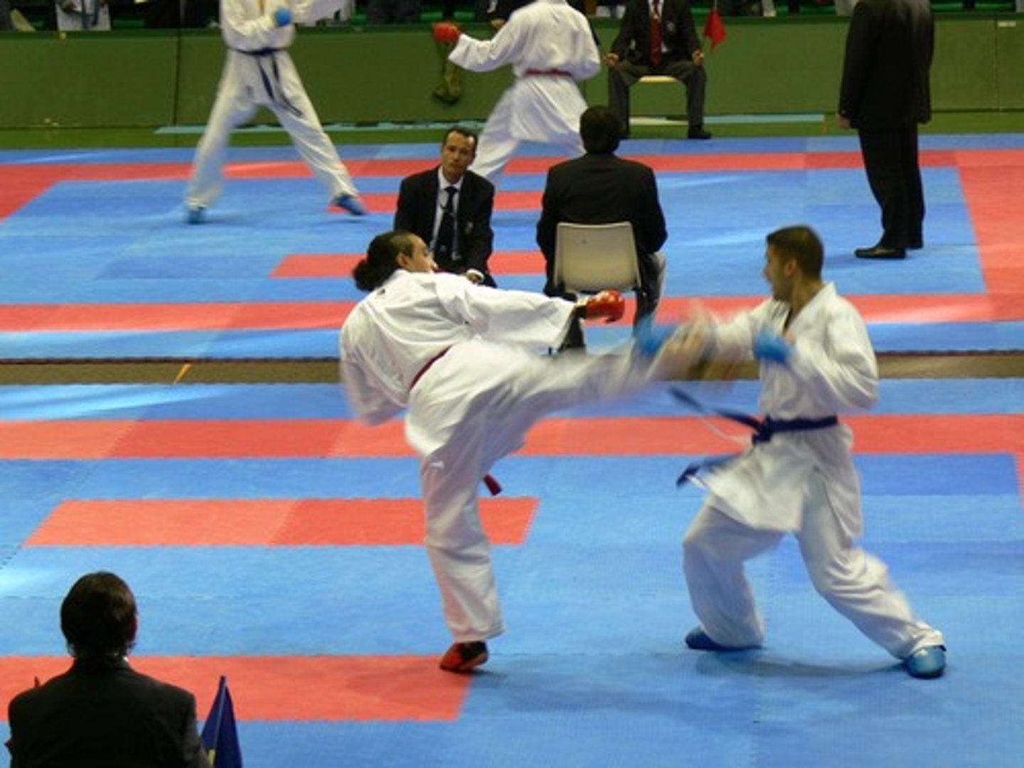 <p>to do karate</p>