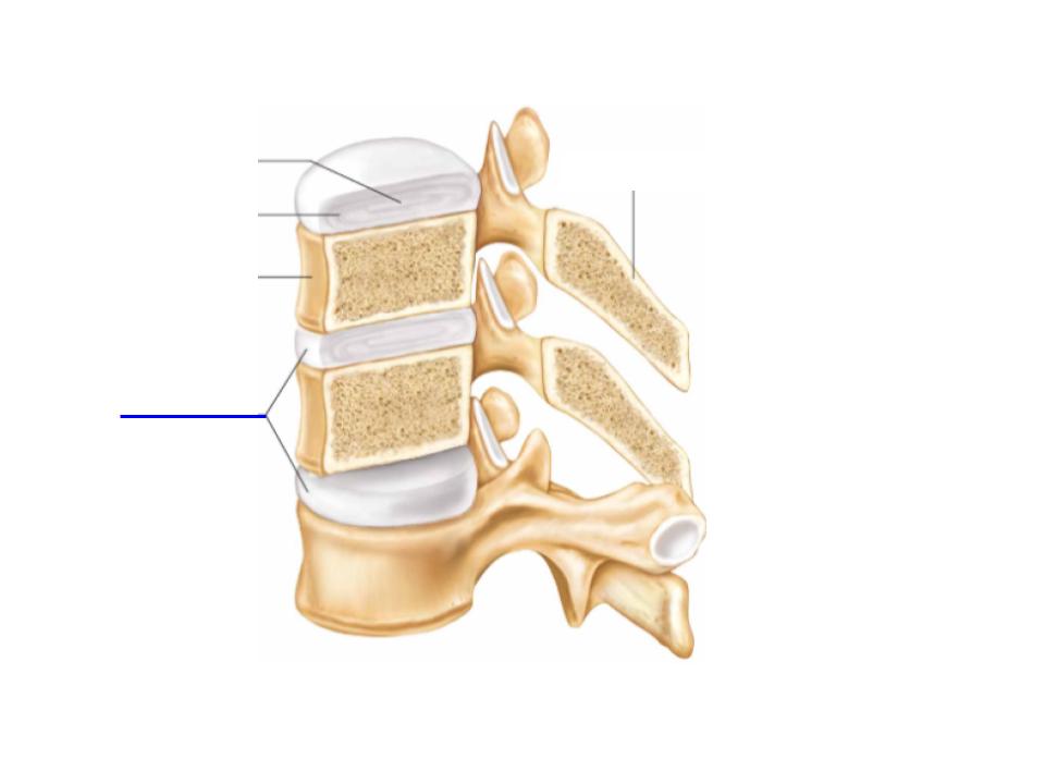 <p>What is this image pointing to? </p>