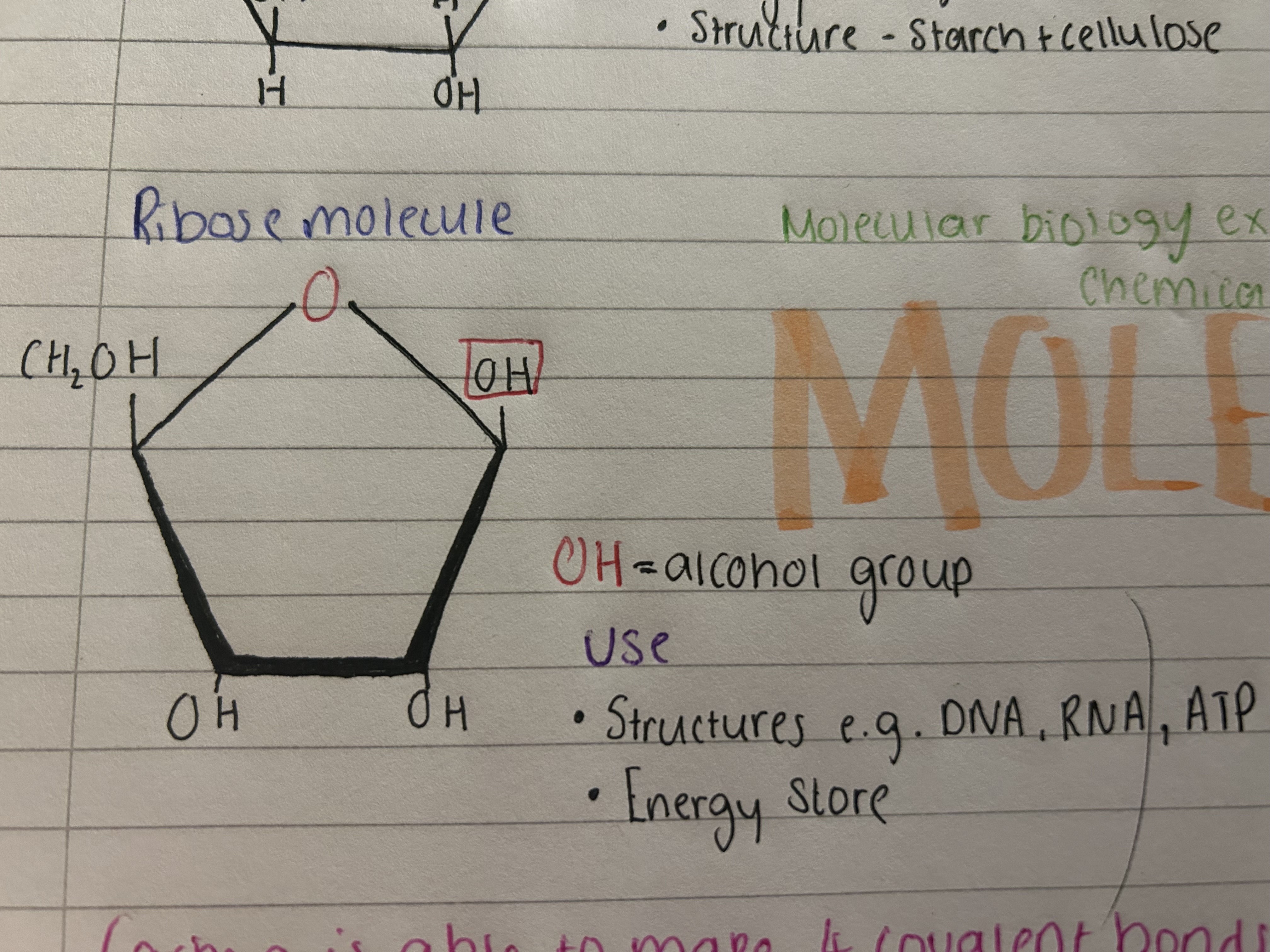 <p>Uses</p><p>Structures- DNA, RNA, ATP</p><p>energy storage </p>