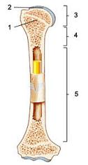 <p>1</p>
