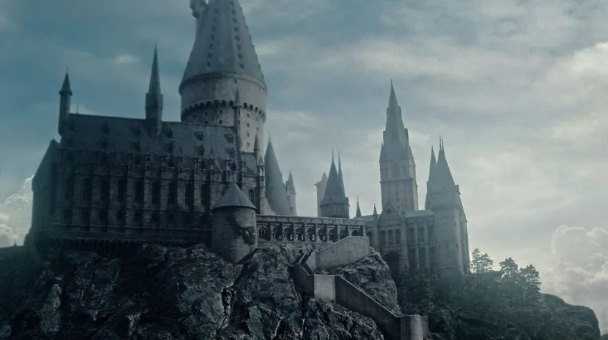 <p>What shot type is this?</p>