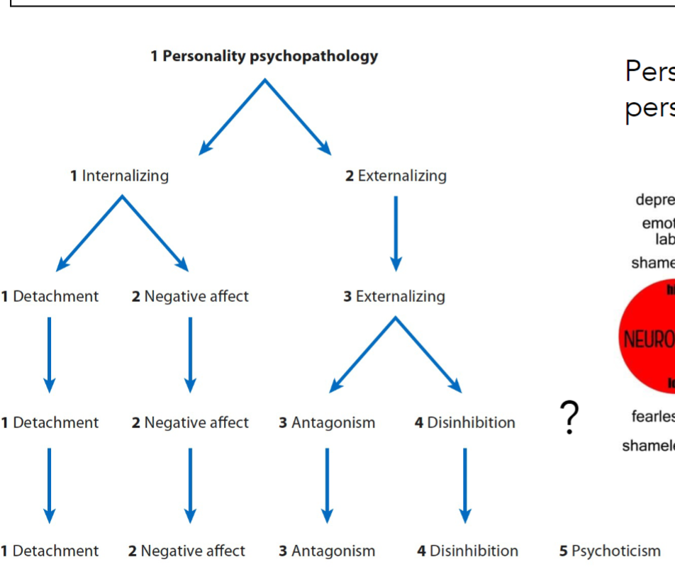 <p>What do these correspond to in the Big 5?</p>