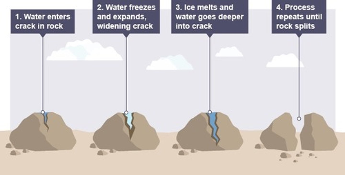 <p>. water enters cracks in the rock</p><p>. when temperatures drop, the water freezes and expands causing the crack to widen</p><p>. the ice melts and water makes its way deeper into the crack</p><p>. the process repeats itself until the rock splits entirely</p>