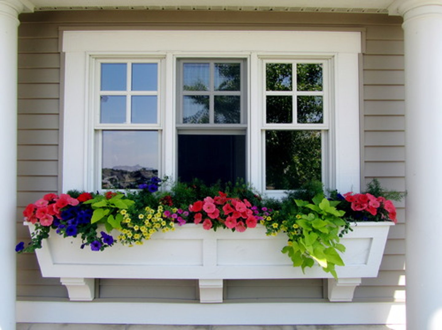 <p>ventana</p>