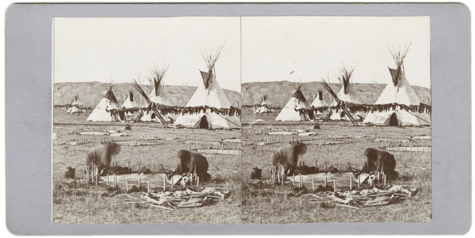 <p><span style="color: rgb(0, 0, 0);"><span>Cheyenne women dressing buffalo hides and showing manner of stretching them, Cheyenne village on the Yellowstone River</span></span></p>