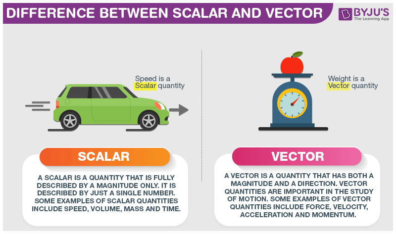 <p>Vector Vs Scalar</p>