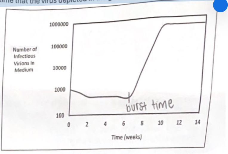 <p><span>What is the approximate time that the virus depicted in the graph below is in its latent form?</span></p>