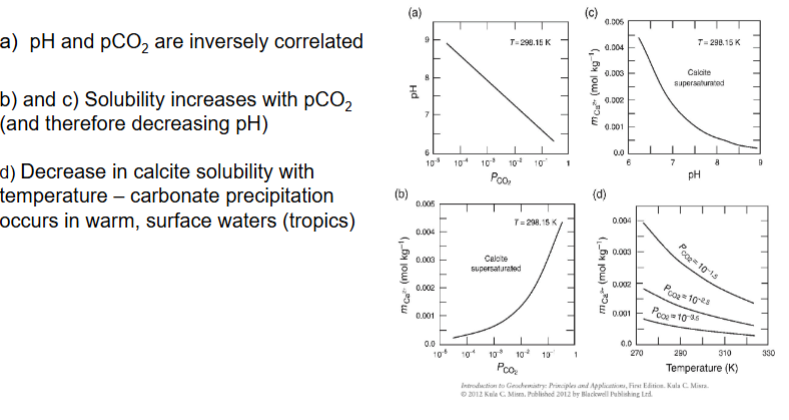 <p>As pCO2 increases, the pH decreases, so more acidic.</p><p>As pCO2 increases, solubility increases.</p><p></p><p>Decrease in calcite solubility as temperature increases.</p><p></p>