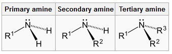 <ul><li><p>Contain NITROGEN</p></li><li><p>has -NH2 group</p></li><li><p>Can be classified as (1°,2°,3°) according to the number of H connected to N</p></li><li><p>named alkyl amine</p></li><li><p>amine</p></li></ul>