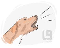 <p><strong>bark</strong> </p>