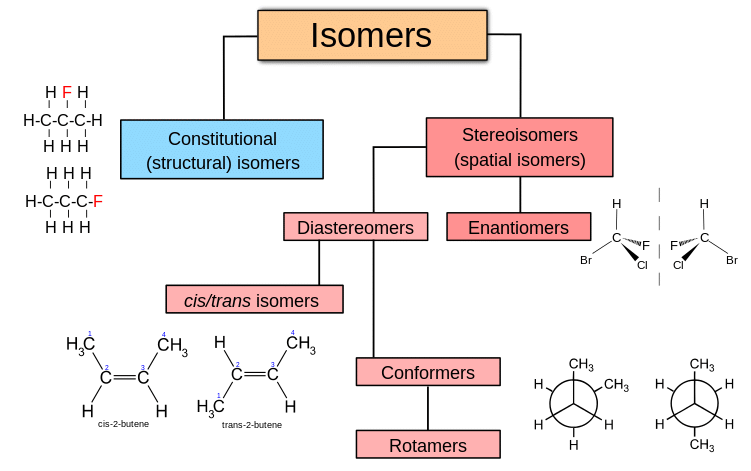 <p>Have the same connectivity of atoms but differ in their spatial arrangement. The terms cis and trans are used to differentiate stereoisomeric alkenes as well as disubstituted cycloalkanes</p>