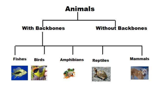 <p>reducing problem by <strong>putting similar aspects </strong>of the problem into <strong>hierarchical categories   </strong></p>