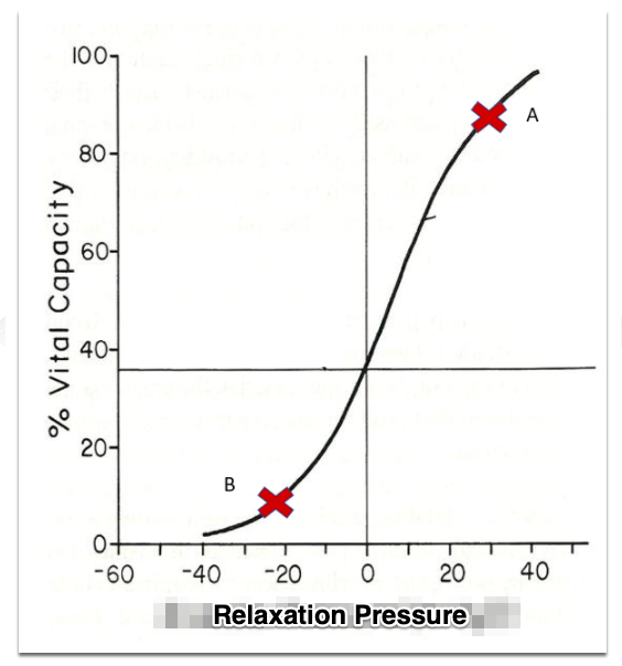 <p>(T1) use the combined lung and chest wall relaxation pressure curve to answer the following question:</p><p>At 90% vital capacity (point a) the recoil/relaxation pressure is:</p><ul><li><p>positive for the chest wall and negative for the lungs</p></li><li><p>negative for the chest wall and positive for the lungs</p></li><li><p>positive for both the chest wall and lungs</p></li><li><p>negative for both the chest wall and lungs</p></li></ul>