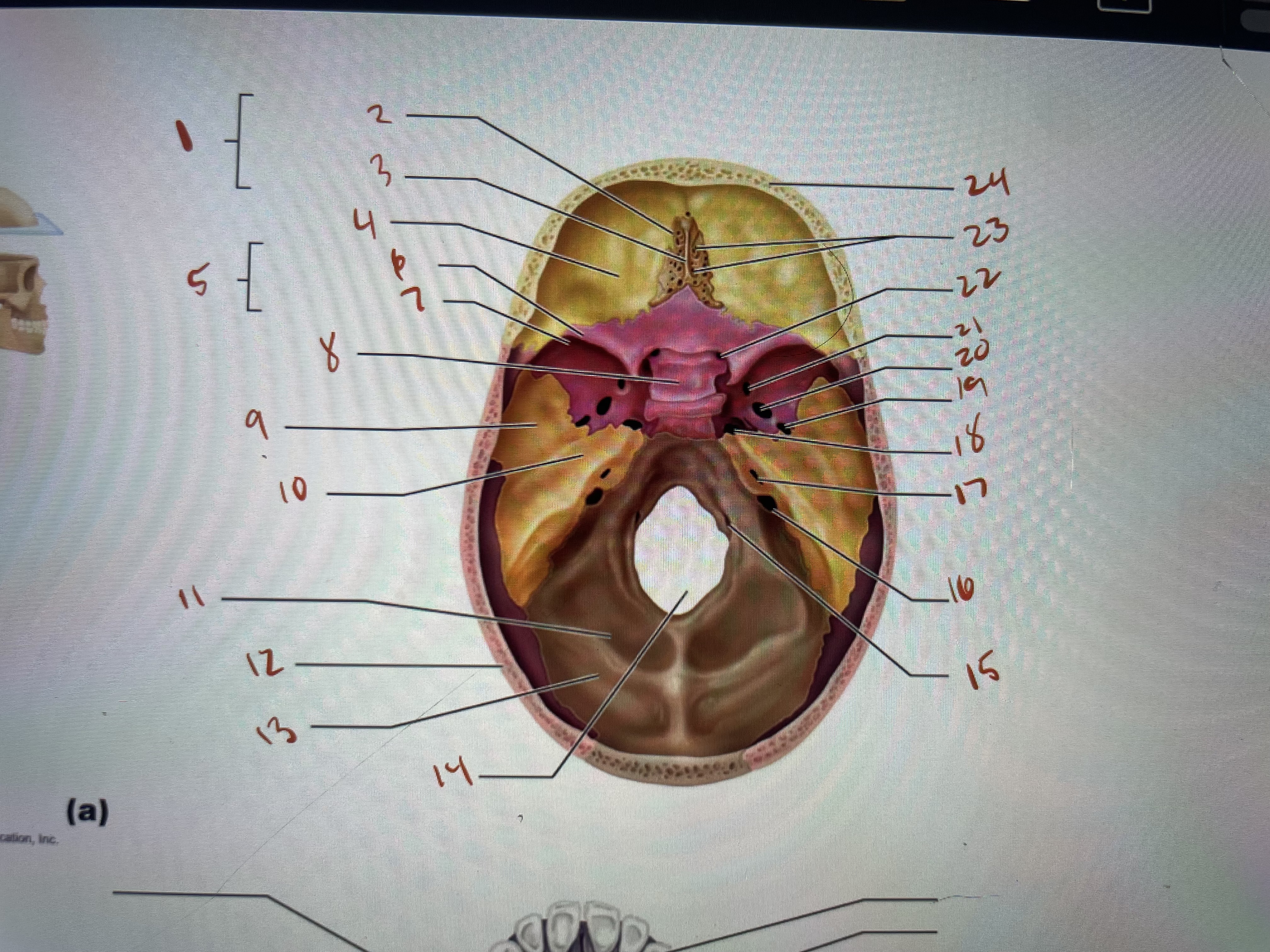 <p>what is located at 14</p>