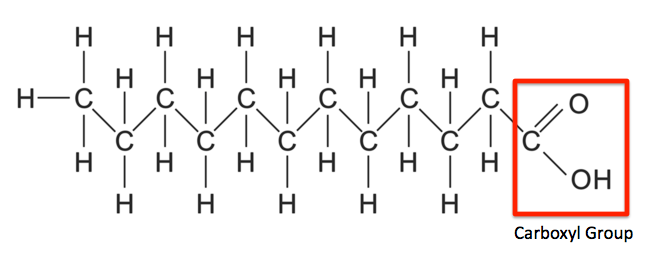 <p>Carboxylic acids with long hydrocarbon chains 14-20 carbons long</p>