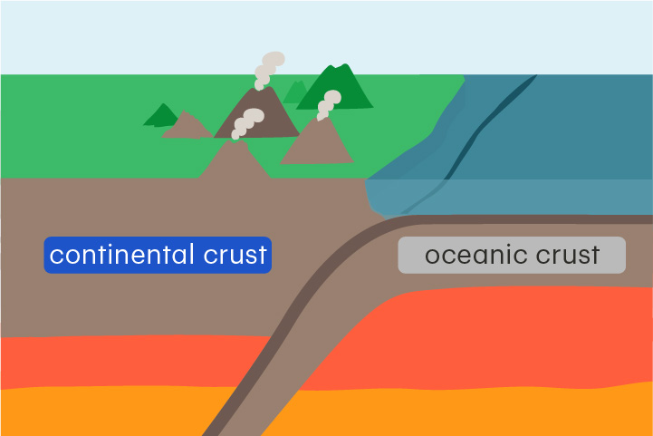 <p>Crust that lies beneath a continent</p><p>Continental crust is about 25–70 km thick and is less dense than oceanic crust.</p>