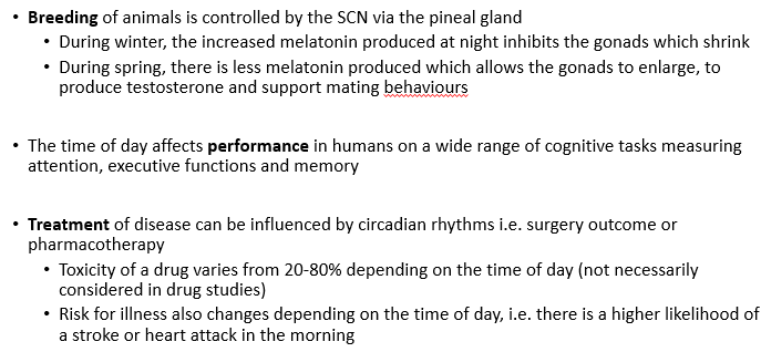 <ul><li><p>breeding of animals is controlled by the SCN via the pineal gland</p></li><li><p>the time of da affects performance in humans on a wide range of cognitive tasks measuring attention, executive functioning and memory</p></li><li><p>treatment of disease can be influenced by circadian rhythms </p></li><li><p>the SCN drives a number of slave oscillators, each responsible for the timing of a different type of behaviour </p></li></ul>
