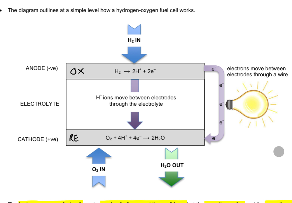 <ul><li><p>continuous supply of chemicals into the cell so do not need recharging as never run out of chemicals</p></li><li><p>Most common fuel cell =<strong> hydrogen-oxygen fuel cell </strong>(which can be run in alkaline and acidic conditions)</p></li></ul><p></p>
