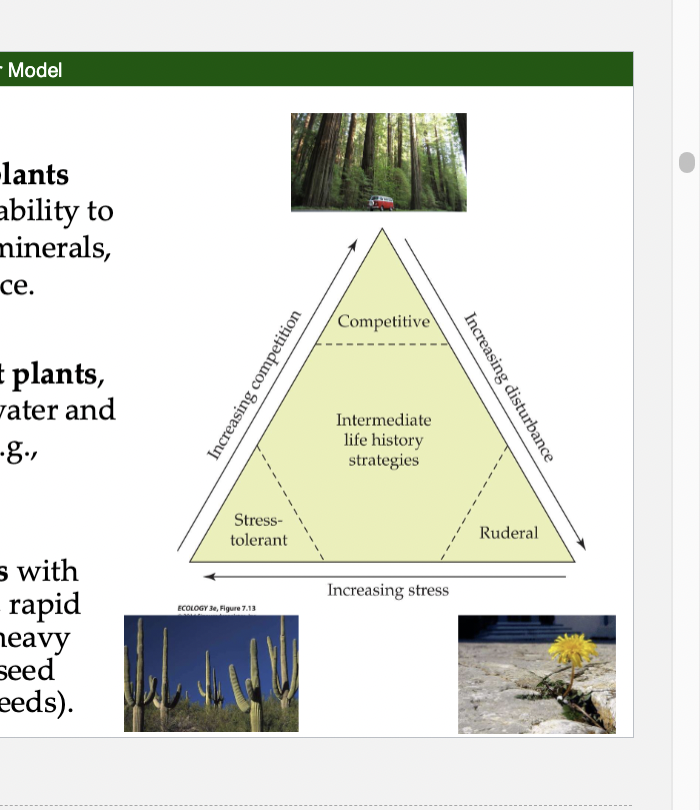 <p><span>Competitive plants</span></p>