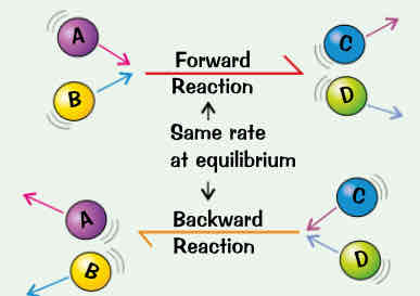 <ul><li><p>reversible reaction → products can react to form reactants again:</p><ul><li><p>as reactants react their concentrations fall so forward reaction will slow down but as more products r made &amp; their concentrations rise the backward reaction will speed up</p></li><li><p>after while forward reaction will be going at exactly same rate as backward one → system is at equilibrium</p></li><li><p>at equilibrium → both reactions r still happening but theres no overall effect (dynamic equilibrium) = concentrations of reactants &amp; products have reached balance &amp; wont change</p></li><li><p>equilibrium only reached if reaction takes place inside closed system (non of reactants or products can escape &amp; nothing can get in)</p></li></ul></li></ul>