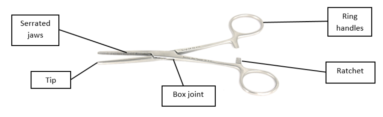 <p>Why is artery forced good for its job</p>